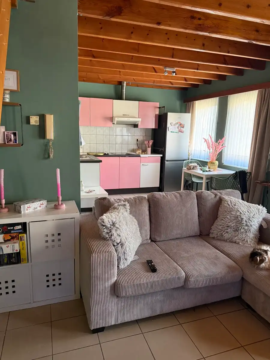 Duplex appartement met 1 slaapkamer te Genk foto 5
