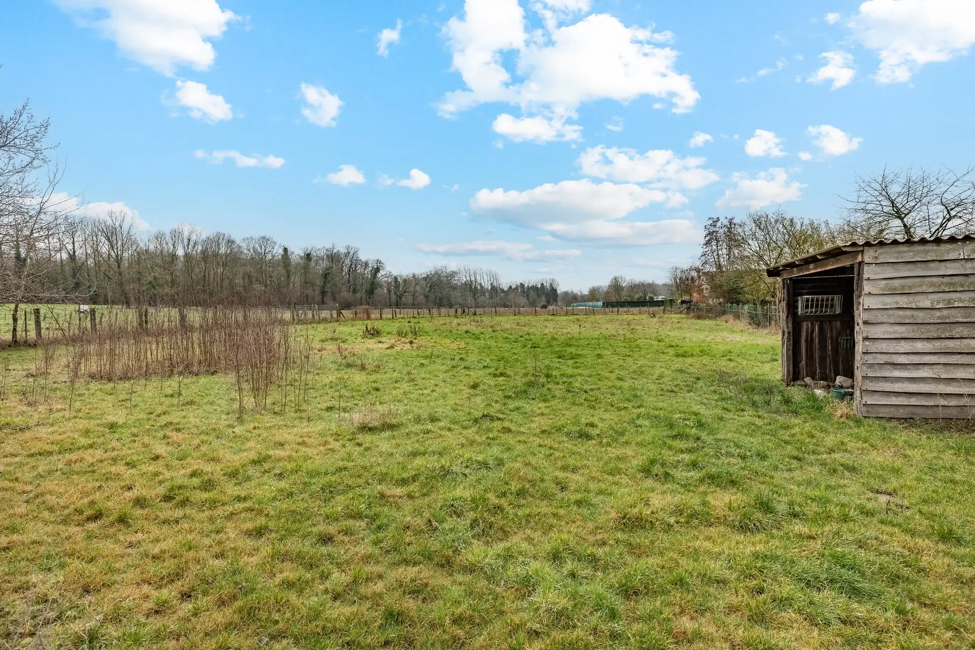 Charmante villa met zwembad op een mooi perceel van 942 m²  foto 8