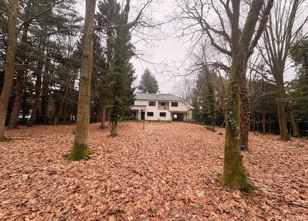 Uitzonderlijk ruime, vrijstaande woning met tuin te huur in Maasmechelen foto 18