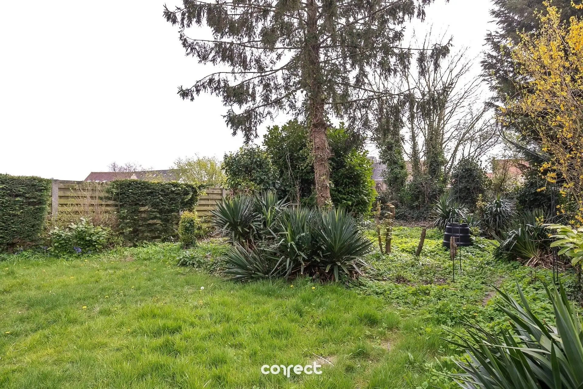 Halfopen bebouwing met 3 slaapkamers, oprit, en zonnige tuin. foto 12