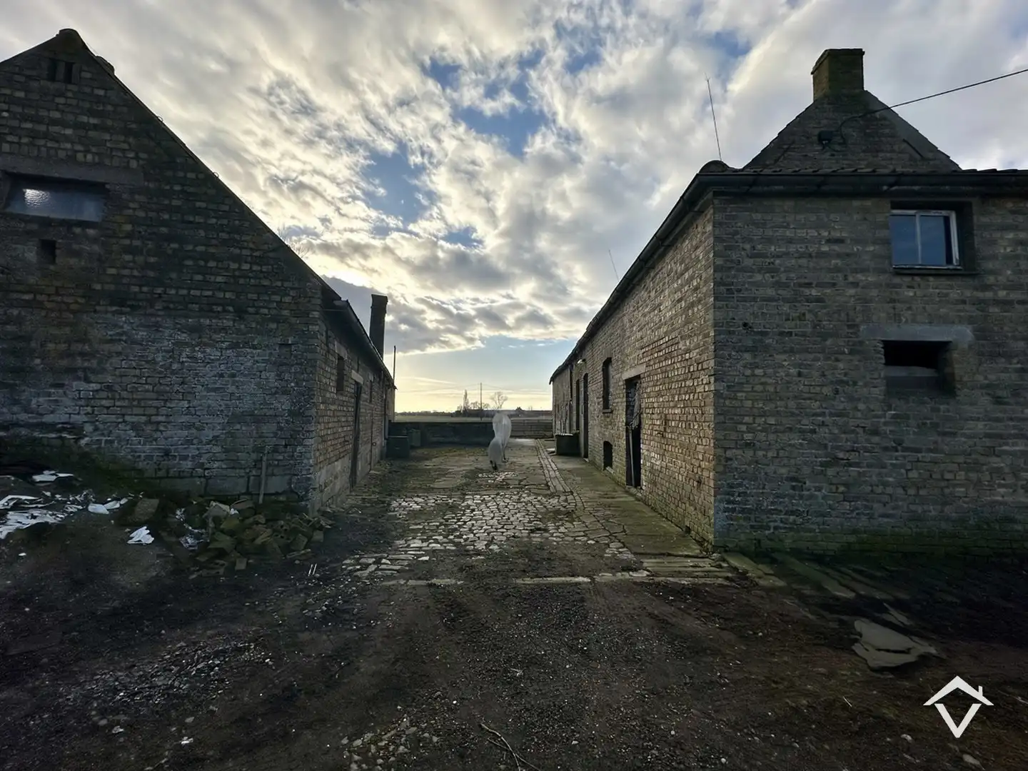 Te herbouwen of te slopen hoeve op ruim perceel in landelijke omgeving foto 8