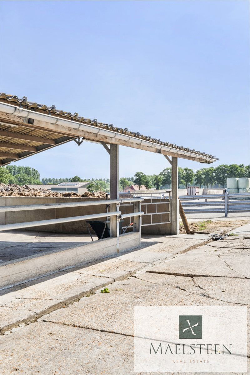 Boerderij met 7,8ha op de flank van Oedelem-berg  foto 32