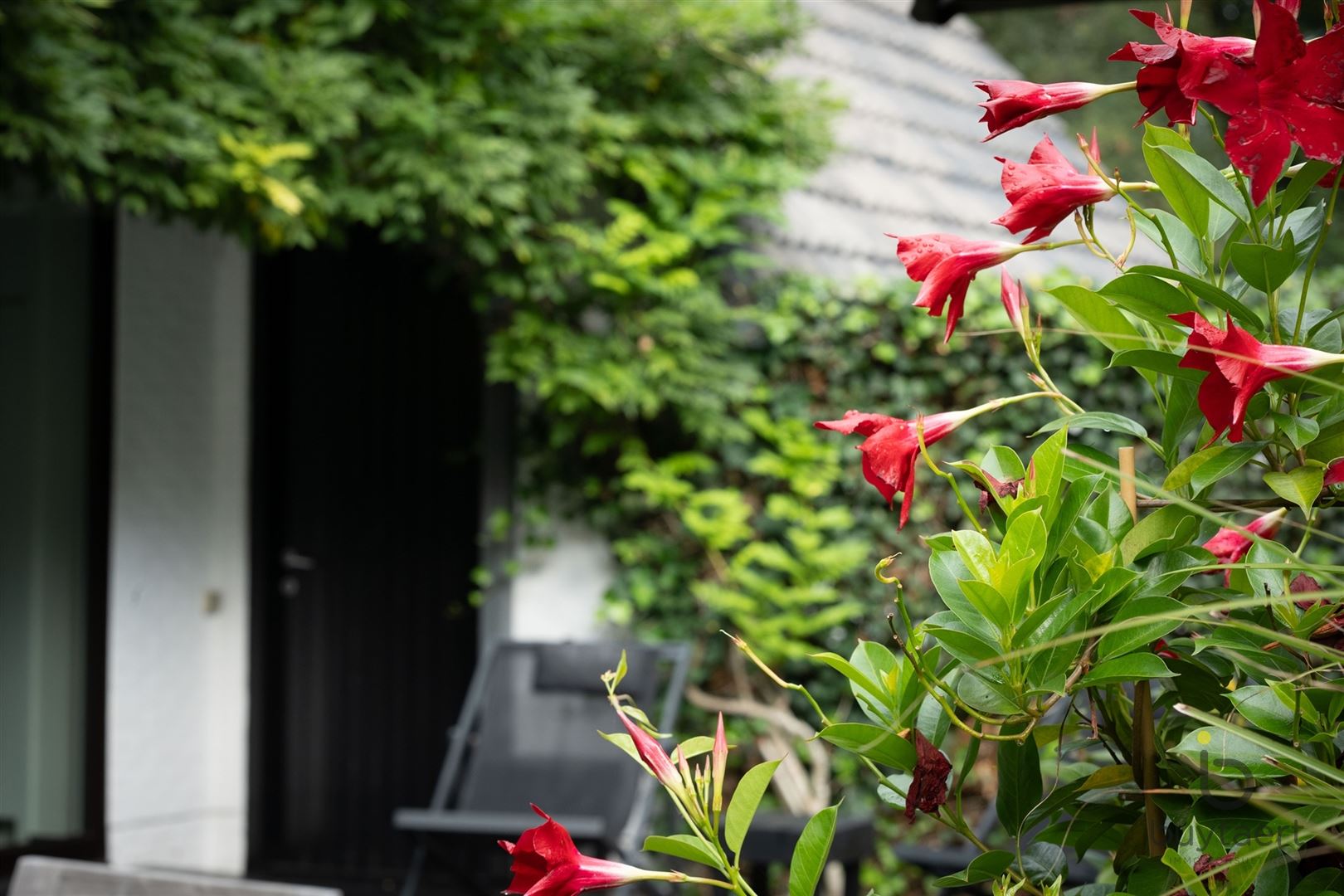 Gezellige instapklare woning met een prachtige groene tuin! foto 58