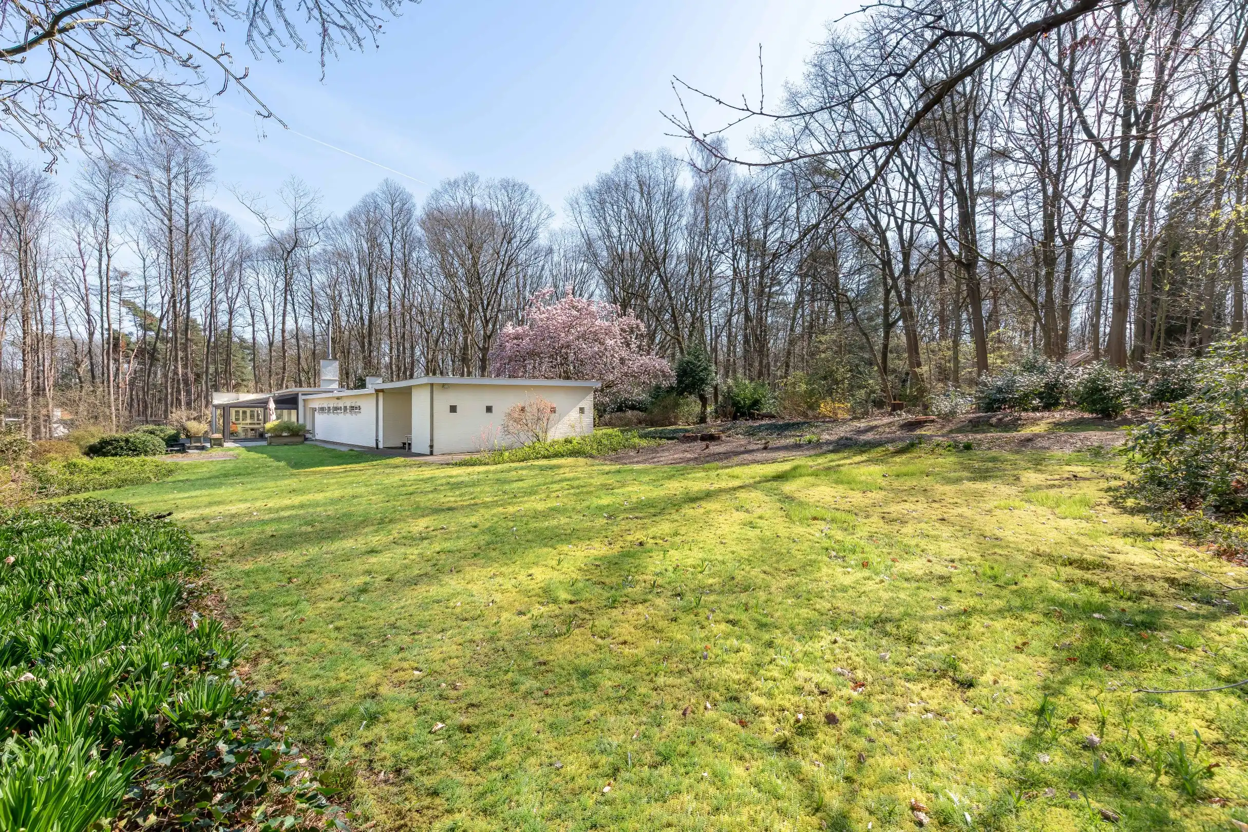 Unieke laagbouwvilla op 85 are parkgebied te Holsbeek foto 15