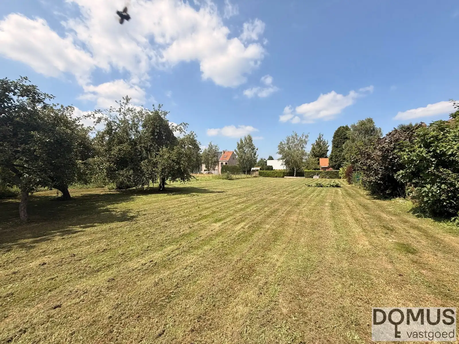 Bouwgrond op toplocatie te Wemmel foto 5