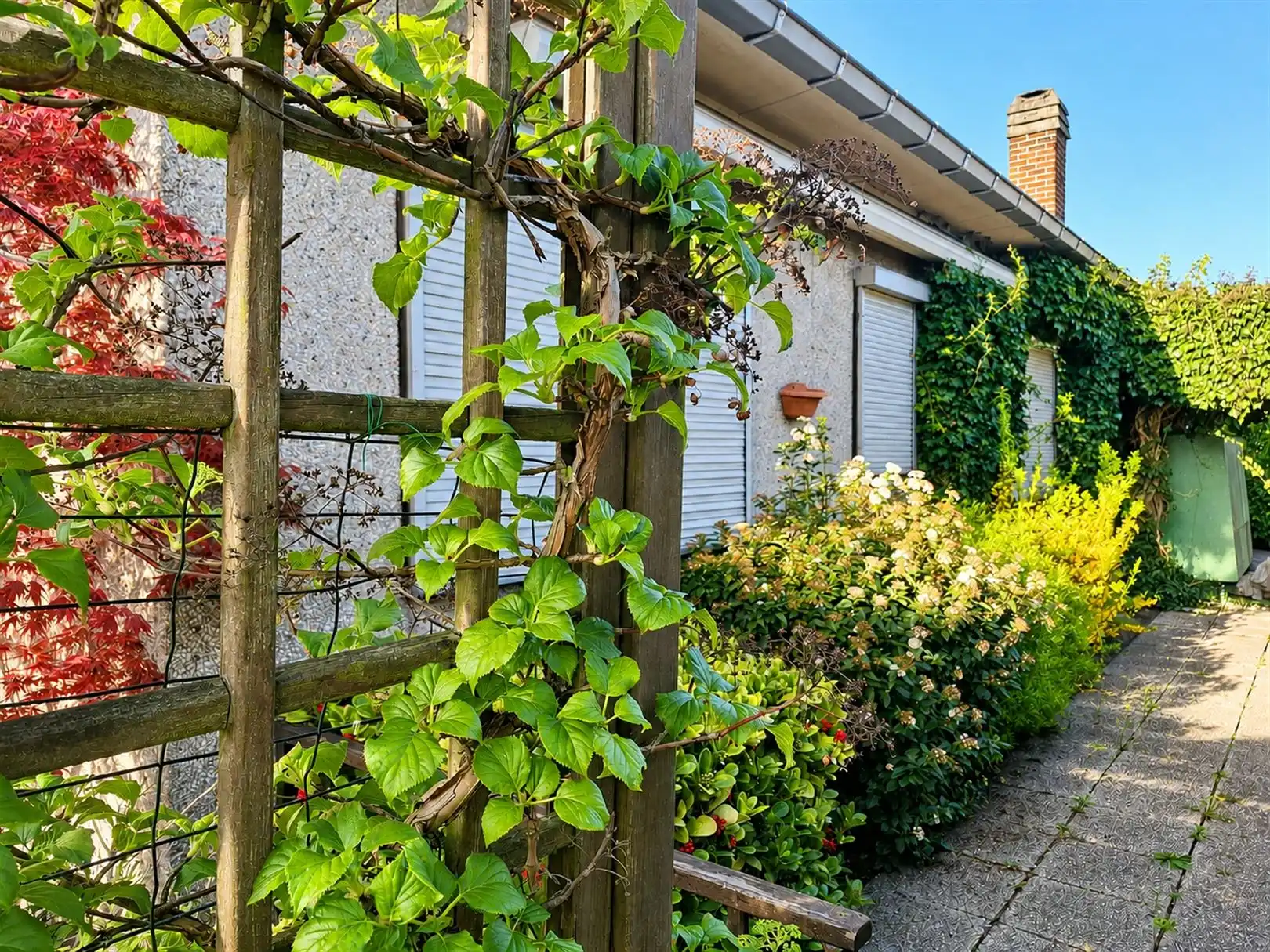 Huis met prachtige tuin in een woonwijk in doodlopende straat foto 4
