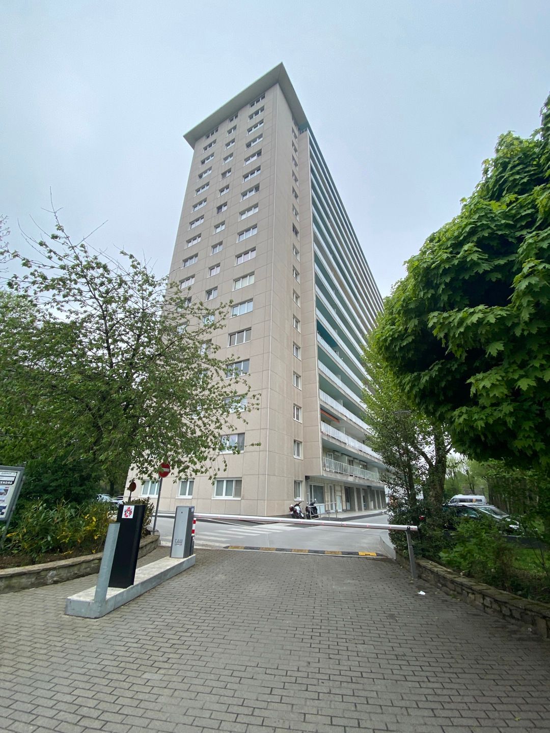 ✨ CASALINA REAL ESTATE ✨ foto 12