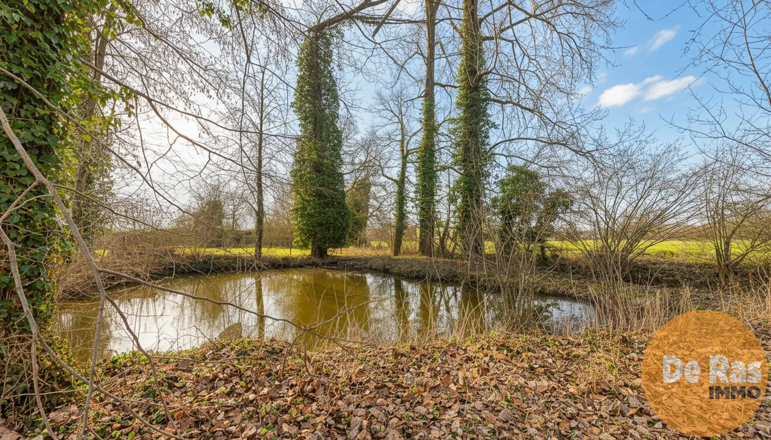 LEDE – Ruime villa met karakter op een ruim perceel  foto 32