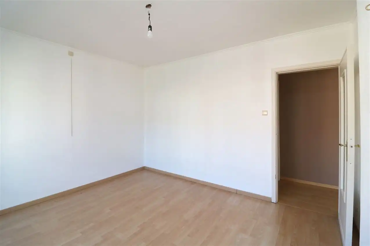 charmant, ruim, mogelijkheid beroep of kangoeroe foto 48