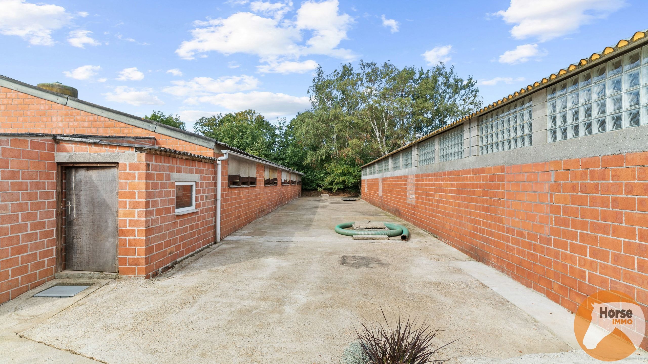 SCHAFFEN - Landbouwwoning op +/- 6,7 ha en paardenstalling foto 11