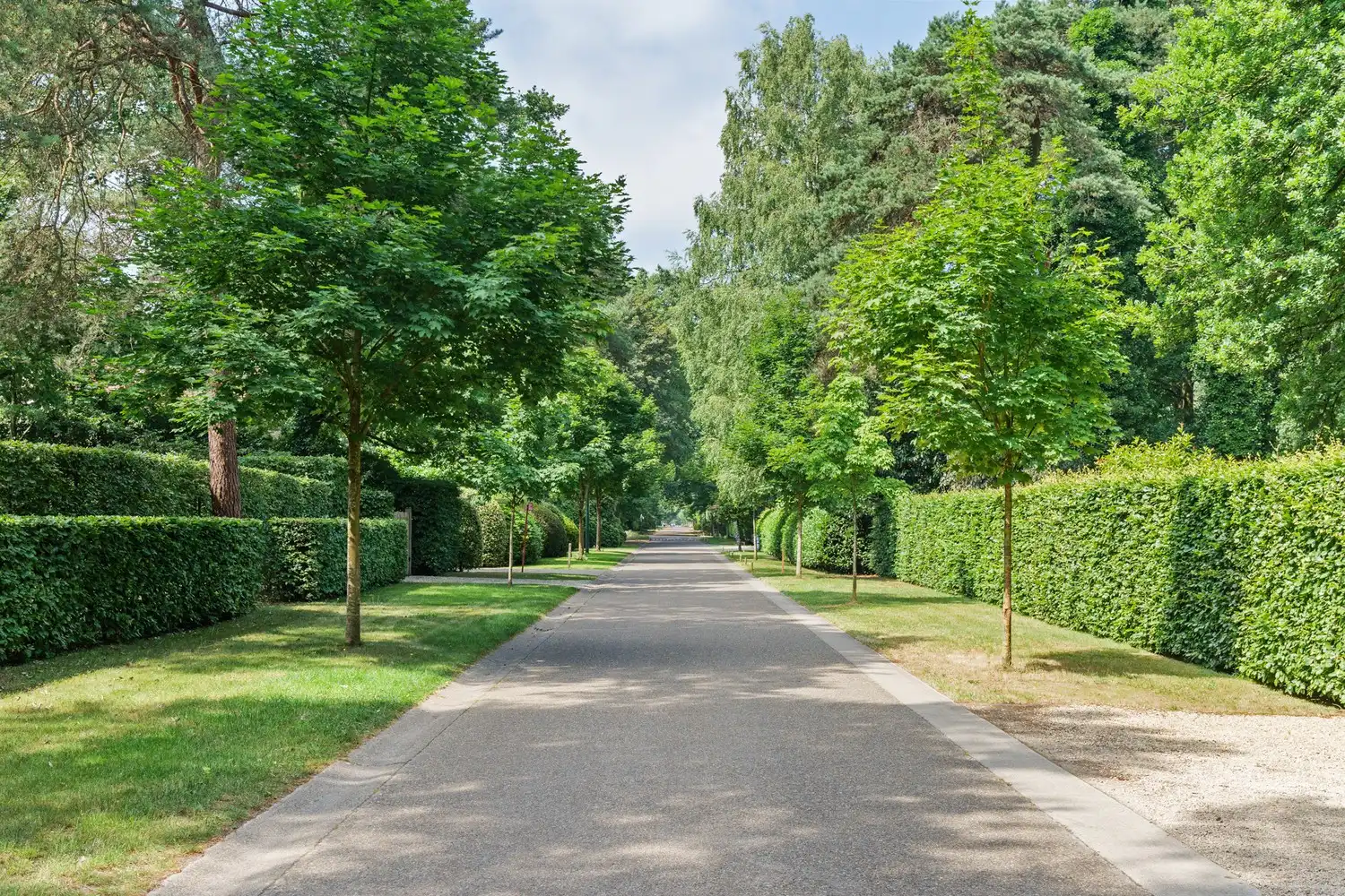 Exclusieve Vlassak-Verhulst villa op 3.016 m2 foto 35