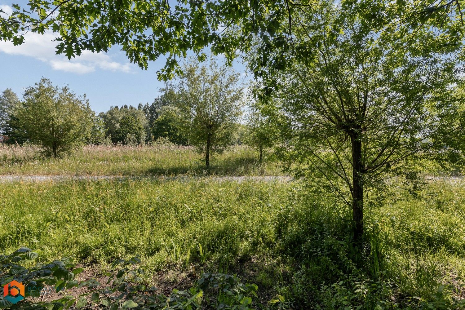 Vrijstaande woning met veel potentieel op 1143m² in Koningshooikt foto 28
