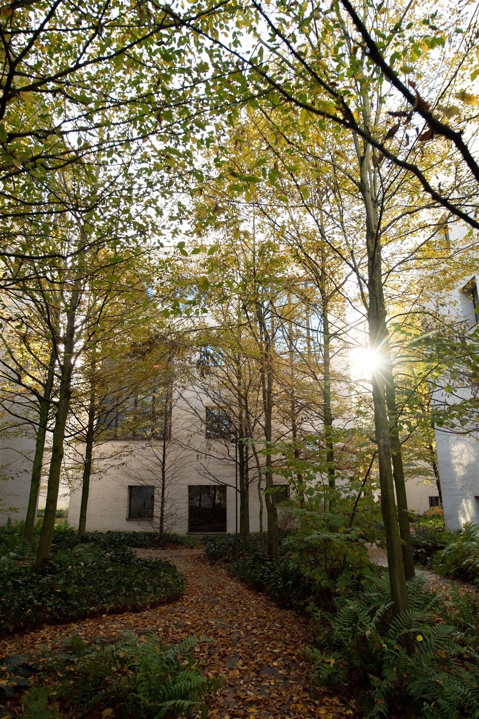 LICHTOVERGOTEN LOFT OP DE BOVENSTE VERDIEPING INGERICHT ALS KANTOOR OP DE KANAALSITE VAN AXEL VERVOORDT foto 33