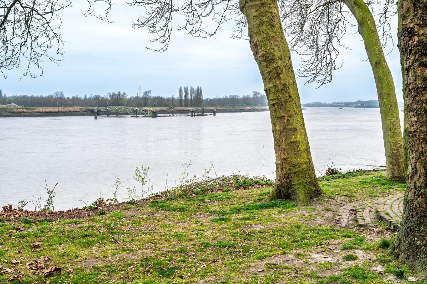 Luxe appartement (2023) met terras & uitzicht op Schelde – EPC A+ foto 23