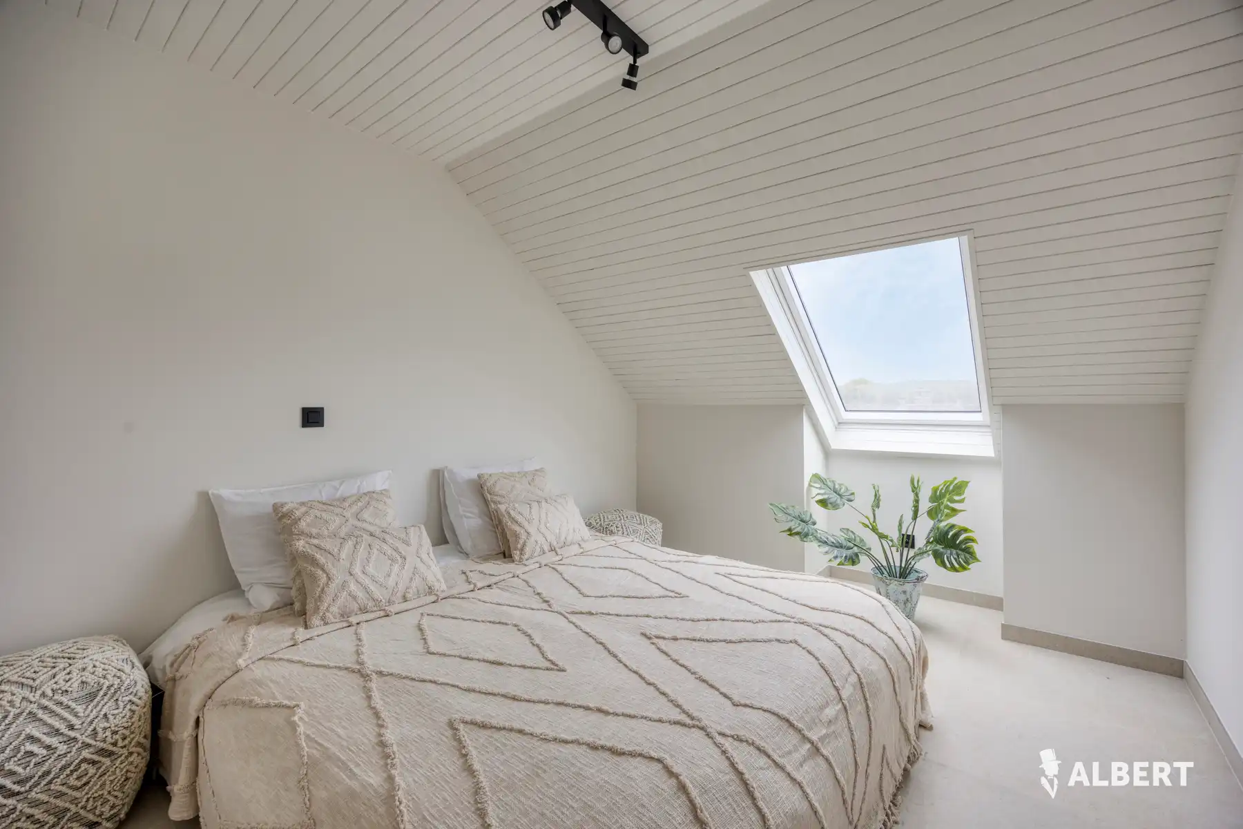 Gerenoveerde studio in dorpskern van Denderwindeke foto 8