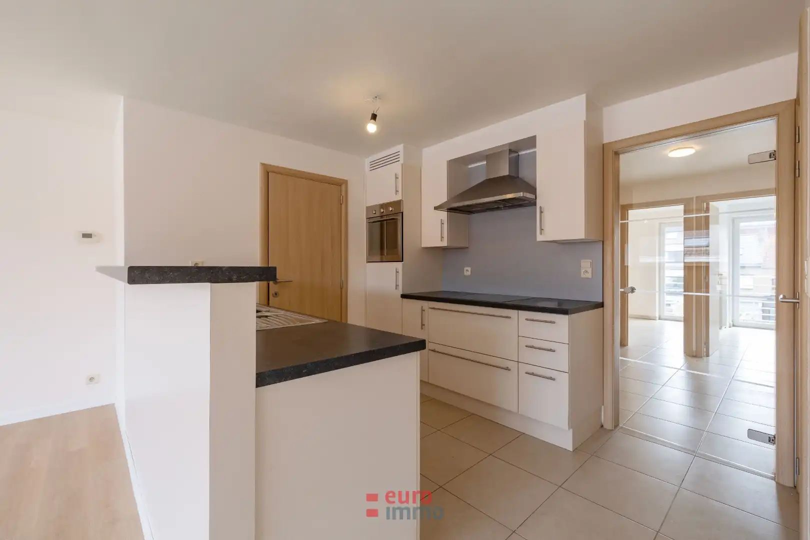 Subliem gelegen en lichtrijk appartement in hartje Nieuwpoort-Stad foto 5