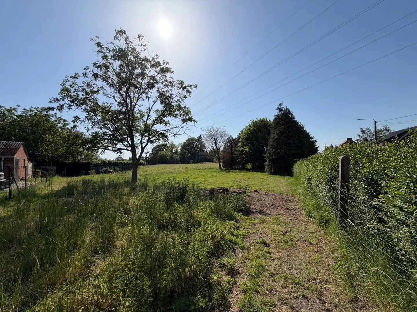 Uitzonderlijk gelegen bouwgrond met aansluitend weiland op 24a74ca in de Europawijk te Mol foto 4