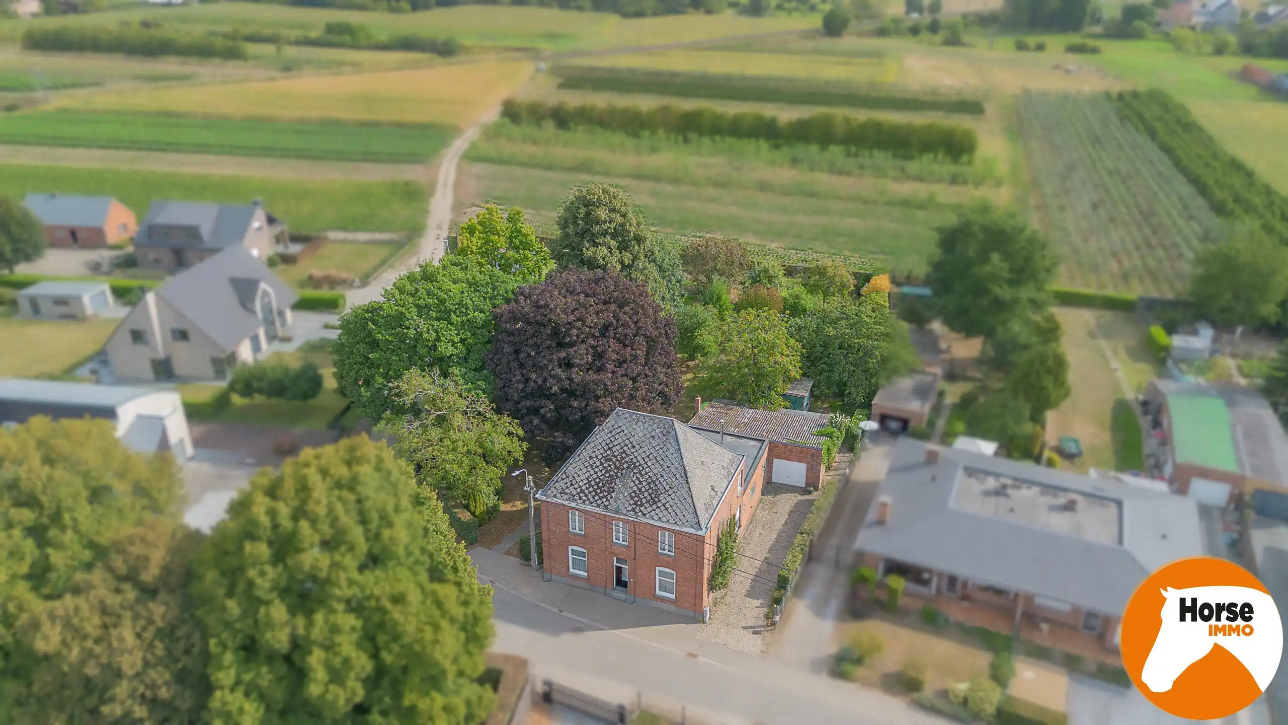 WICHELEN – Karakteristiek burgerhuis op schitterend perceel foto 2
