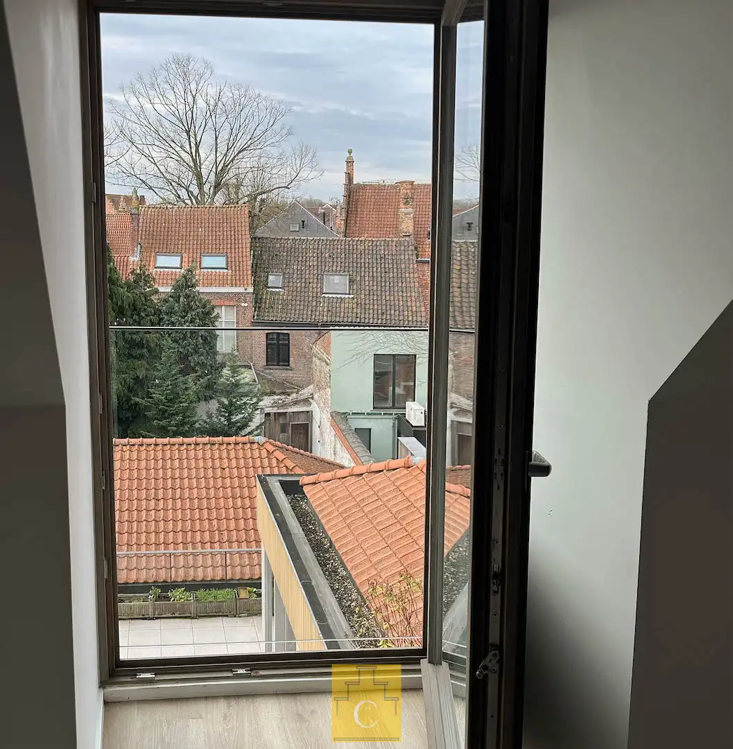 knap dakappartement in 19e eeuws herenhuis met zonnig terras en adembenemende uitzichten foto 21
