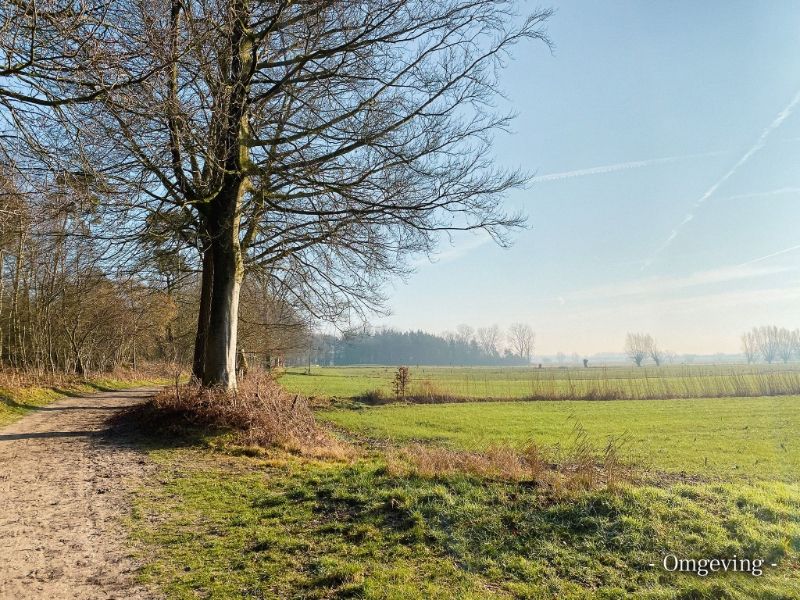 TE KOOP – Uniek stuk bouwgrond in de bossen van Lembeke – >15.000 m² foto 10