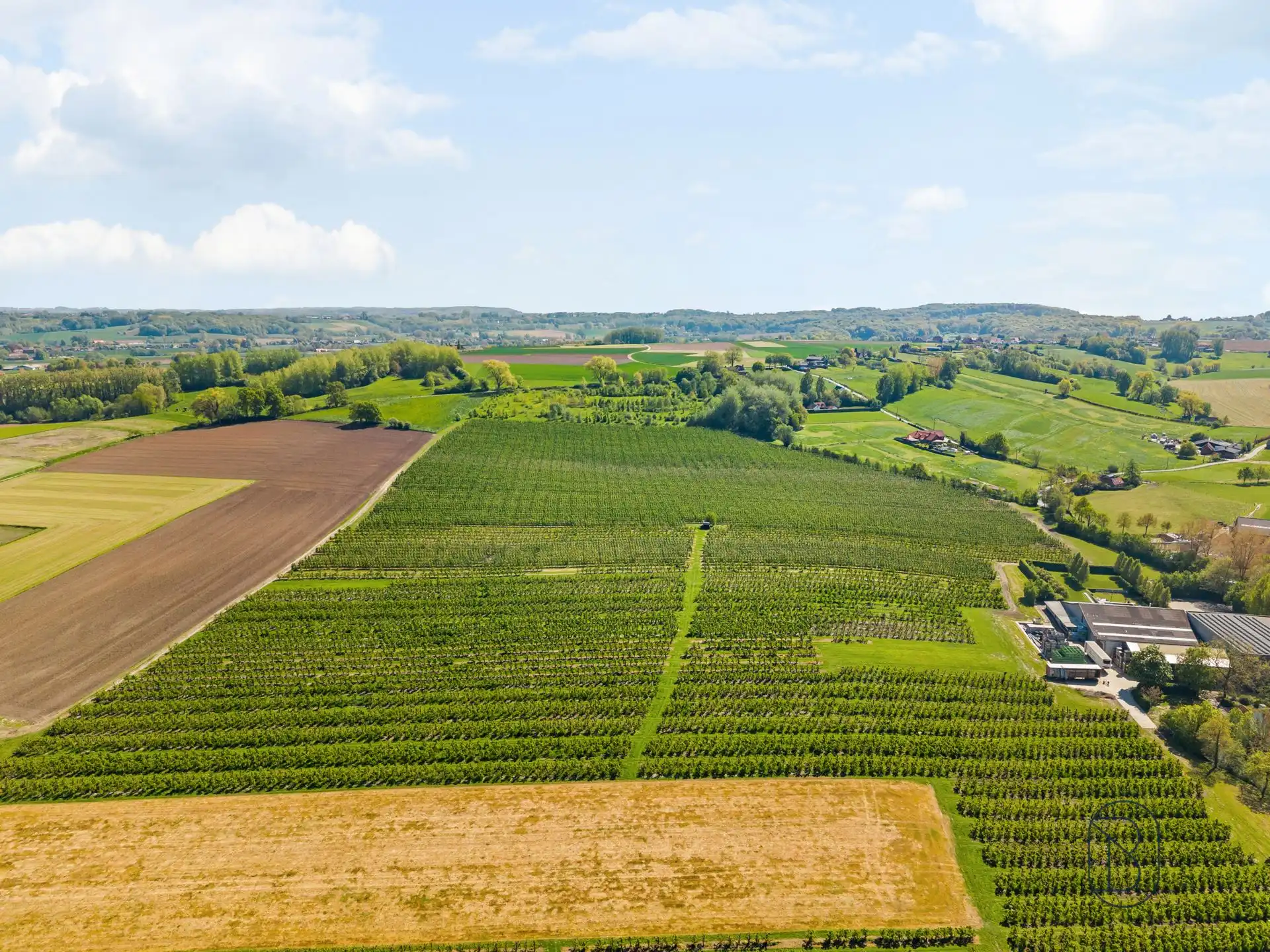 Unieke eigendom op 18 hectare te Kwaremont foto 9