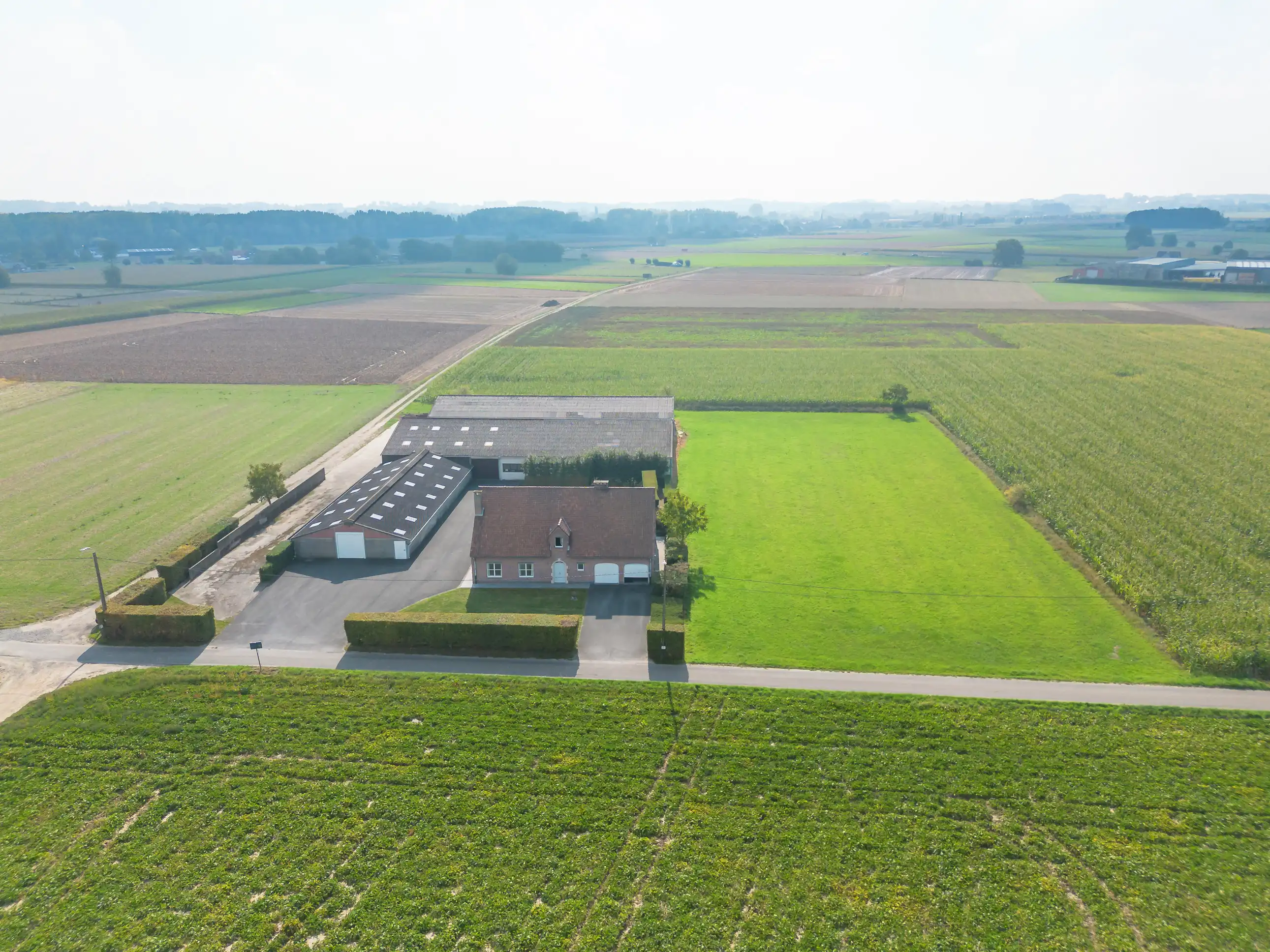 Tijdloze landbouwwoning met drie loodsen foto 22