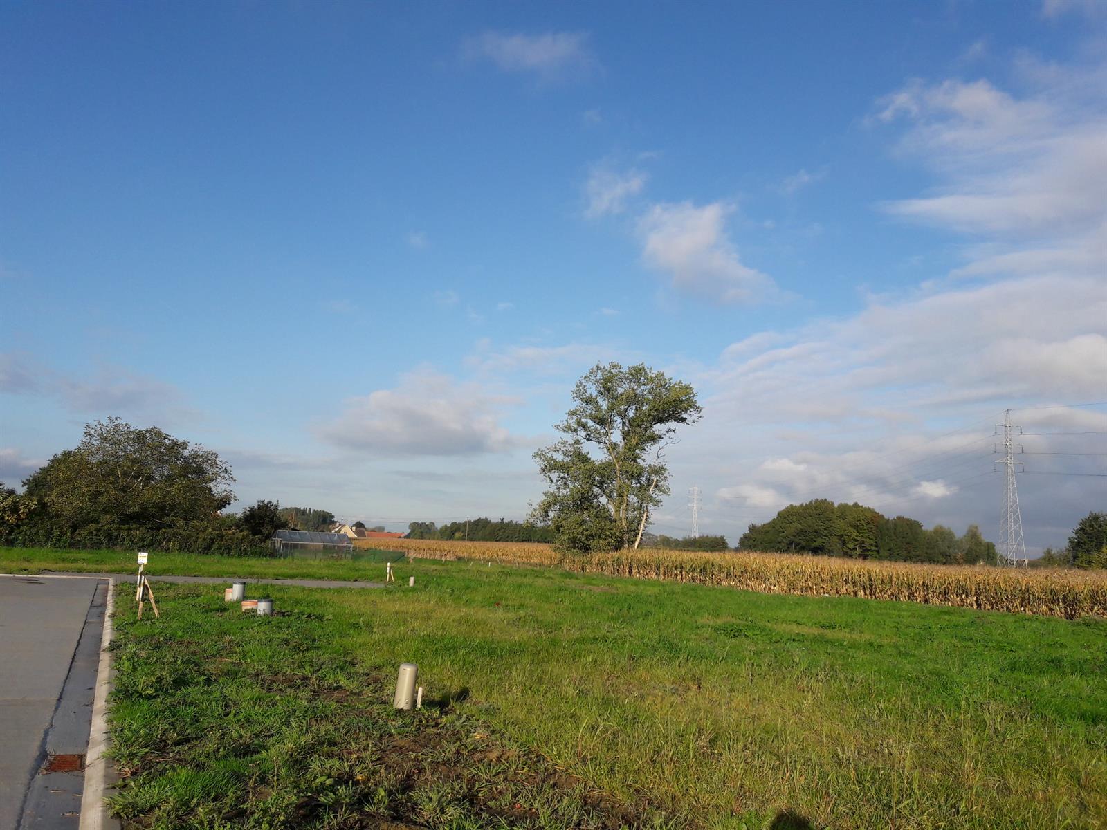 Rustig gelegen bouwgrond op de grens met Roeselare foto 1