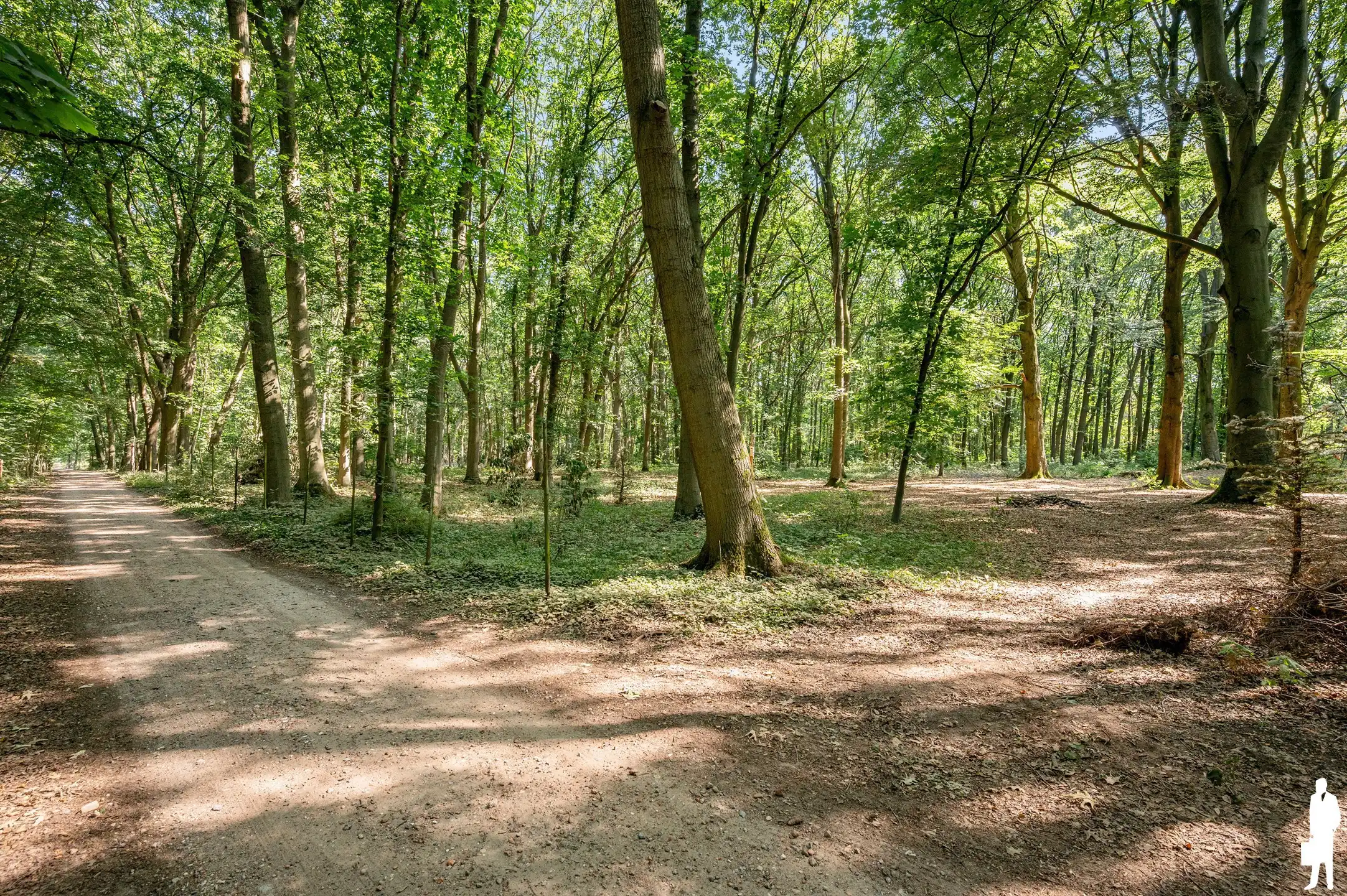Charmante woning met volledige onderkeldering en achterliggend bos van ca. 31.493 m² foto 46