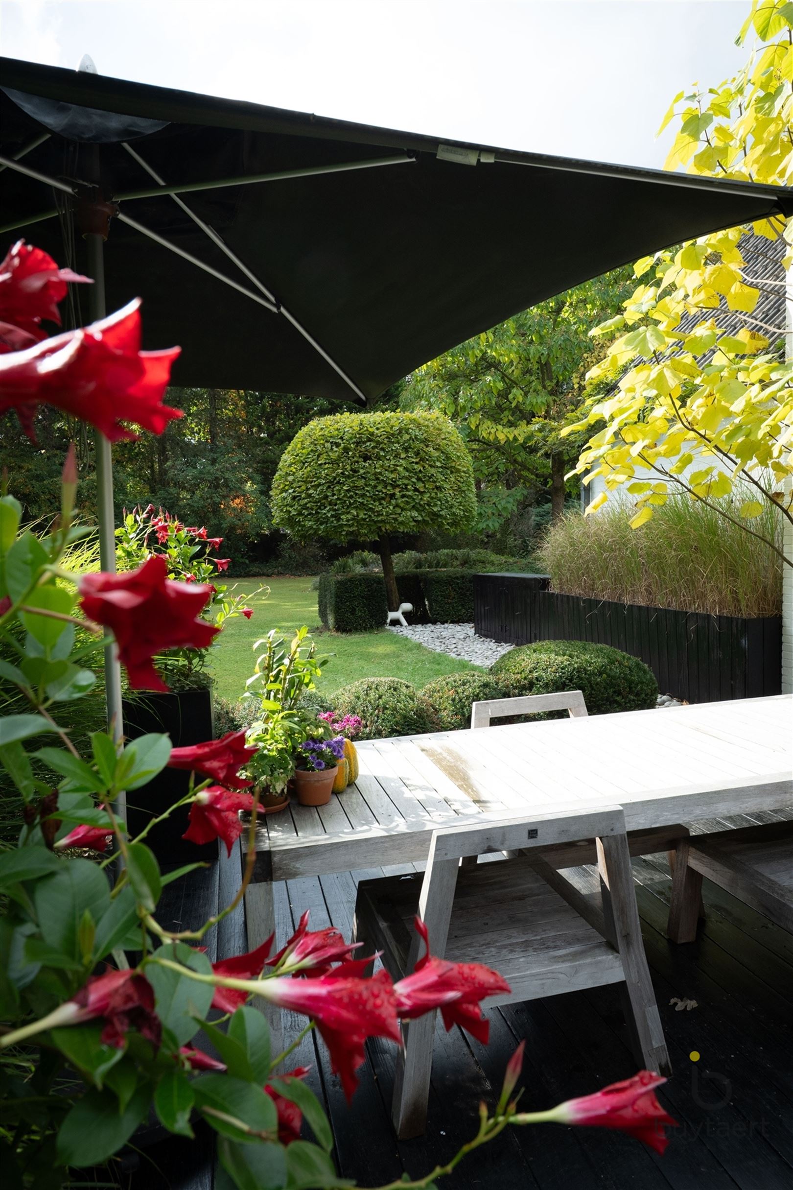 Gezellige instapklare woning met een prachtige groene tuin! foto 57