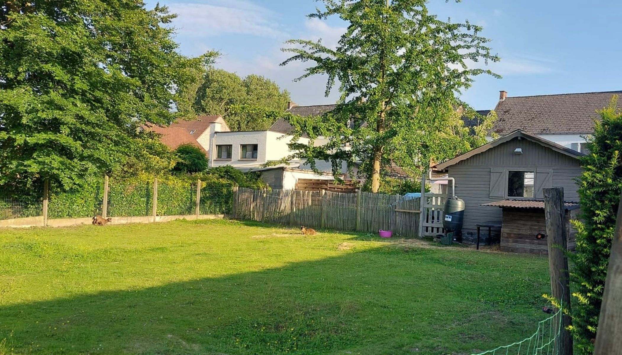 Zeer ruime woning met grote tuin en vrij zicht. foto 30