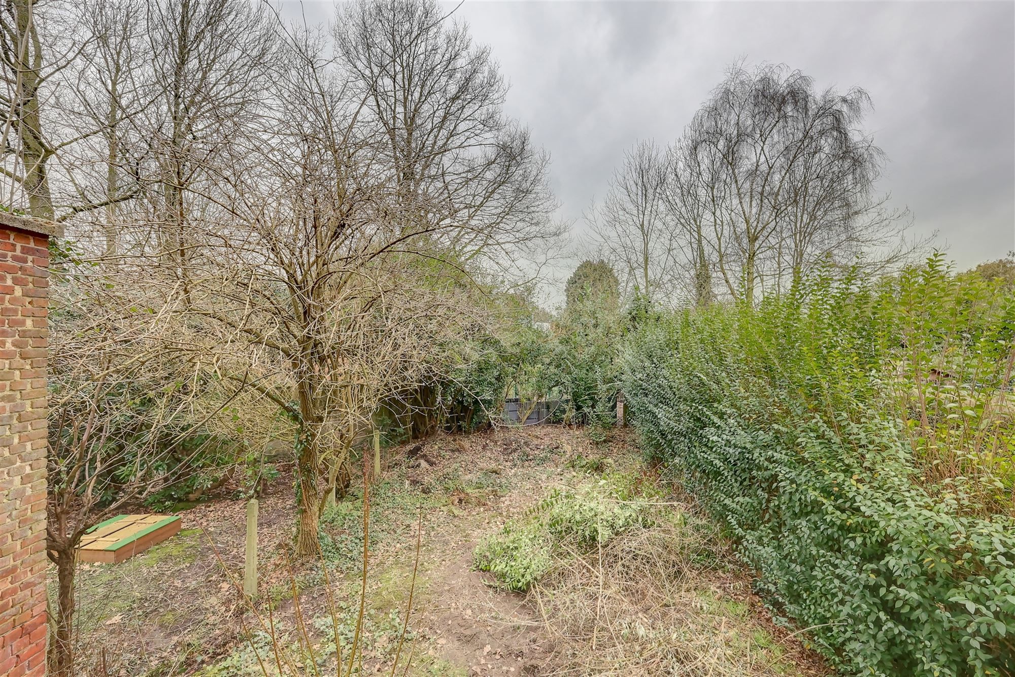 Gerenoveerd huis met tuin en garage te huur in Wilrijk foto 8