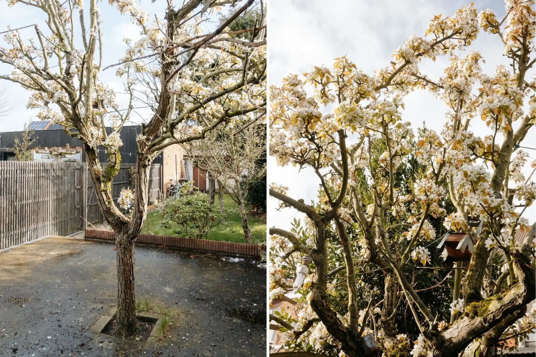 Ruime gezinswoning met tuin nabij Hobokense polder! foto 16