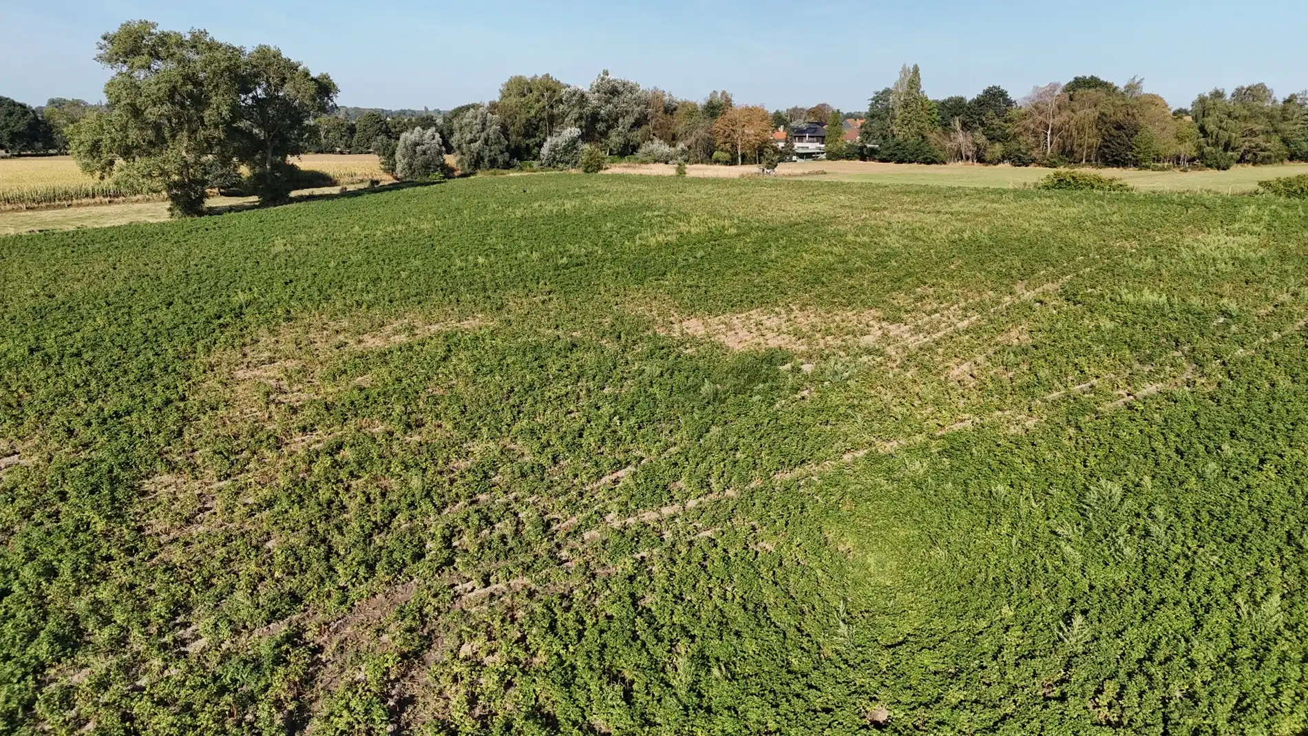 Landbouwgrond te koop van 2,88 ha te Koekelare Vrij van pacht na seizoen foto 3