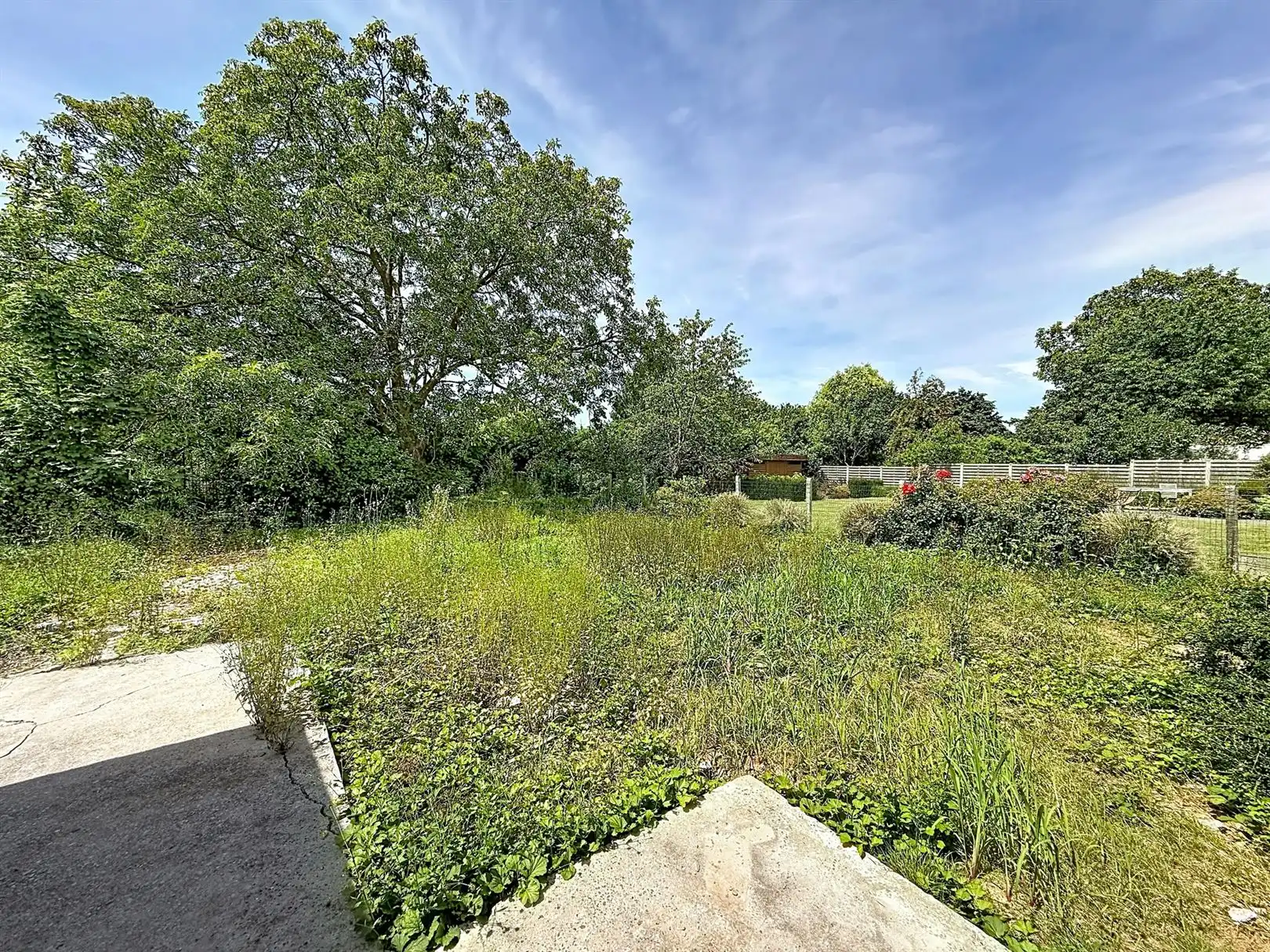 Te renoveren woning met 3 slpks en zolder, tuin, 12a 06ca foto 35