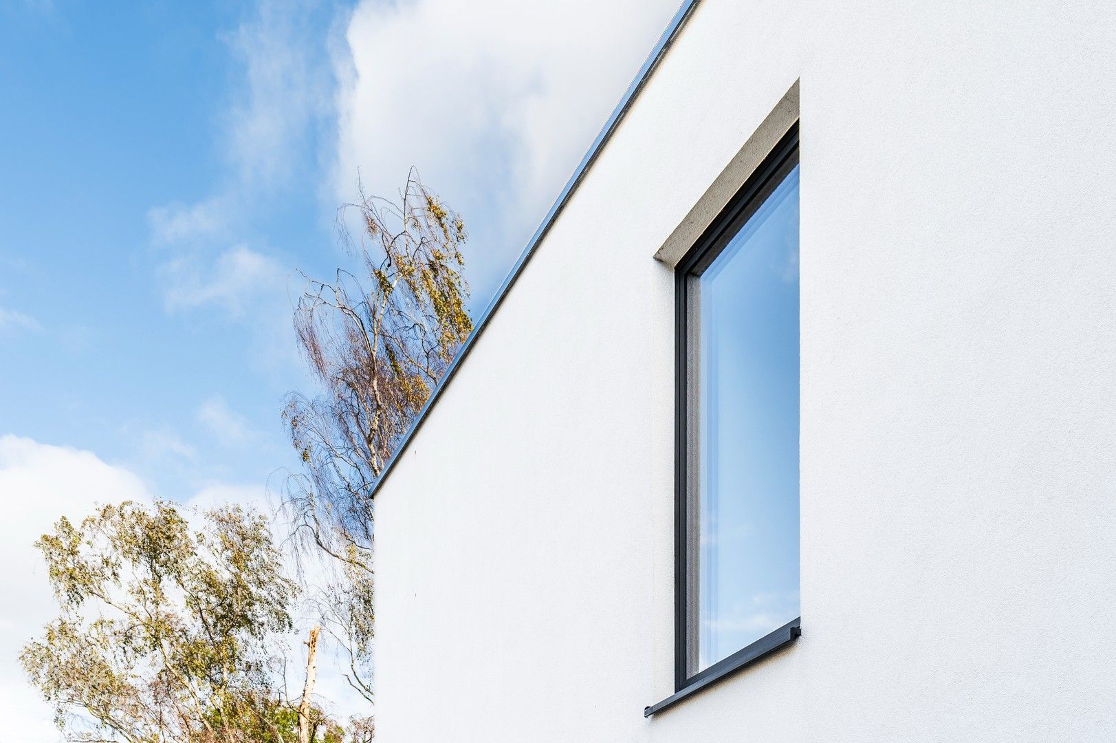 Moderne, energiezuinige woning op 1021 m² vlak bij het Zeekanaal foto 19