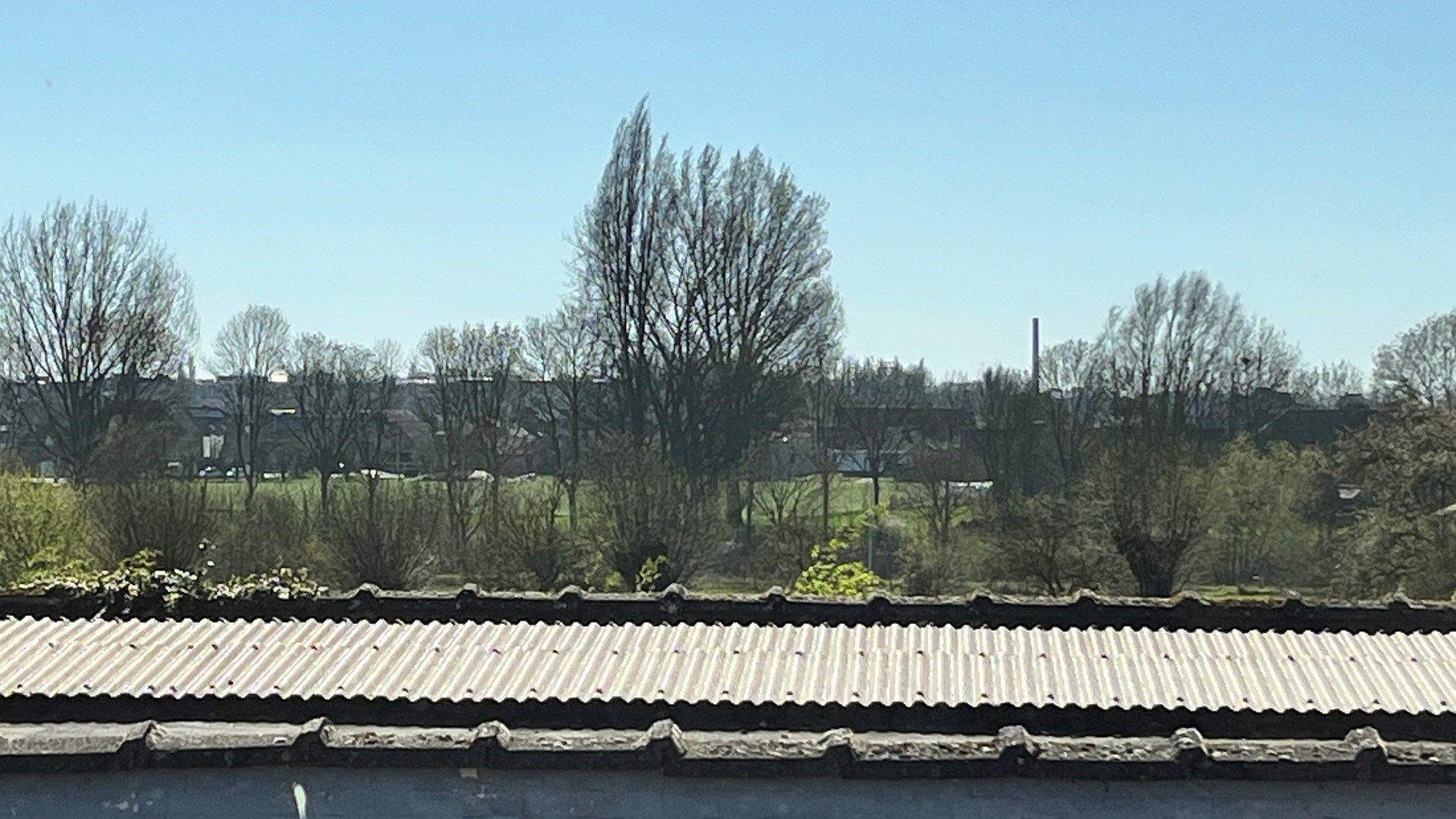 Grote woning met 3 kamers, garage en stadstuin  foto 16