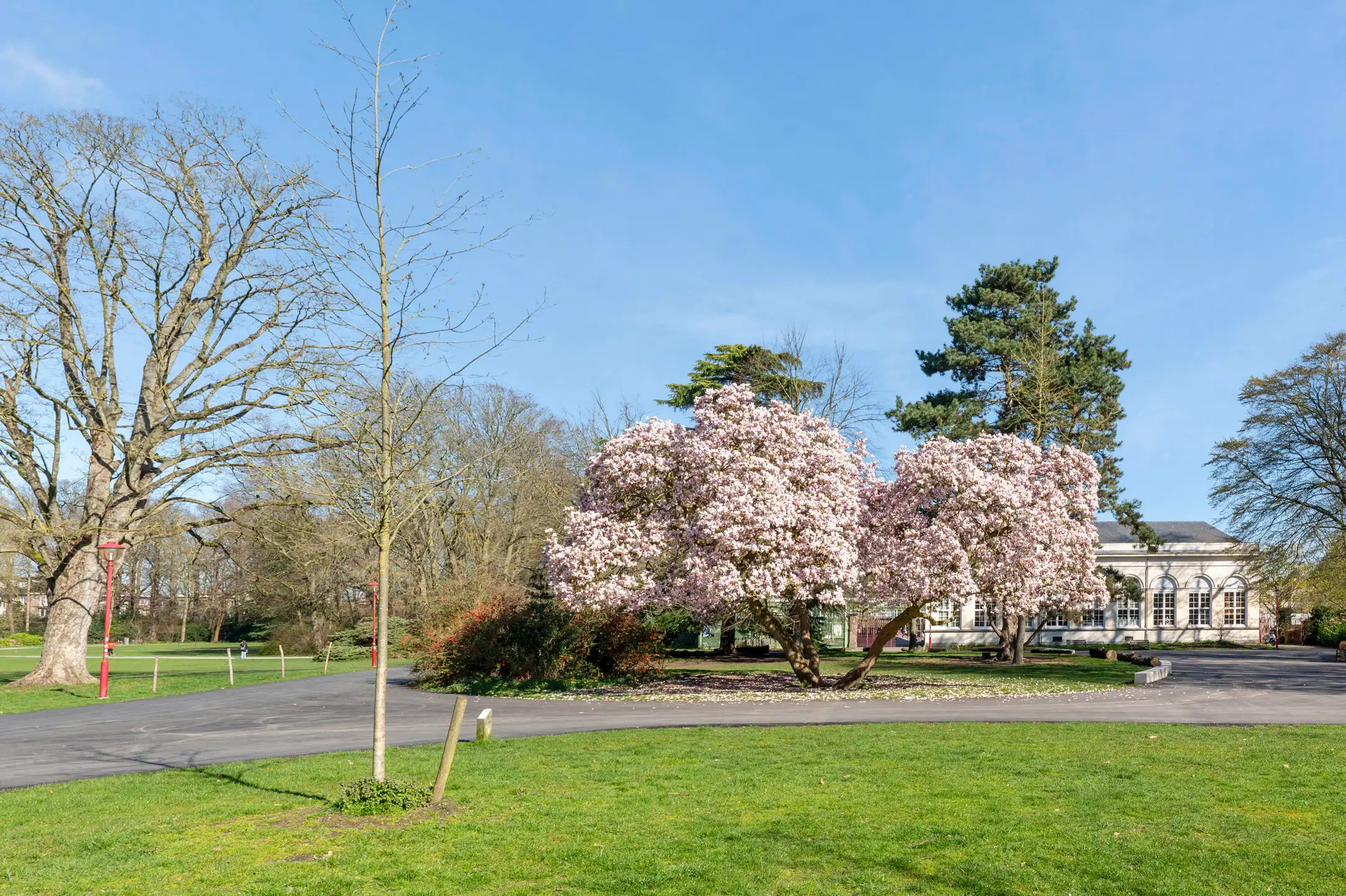 Instapklaar appartement met terras aan Te Boelaerpark foto 12
