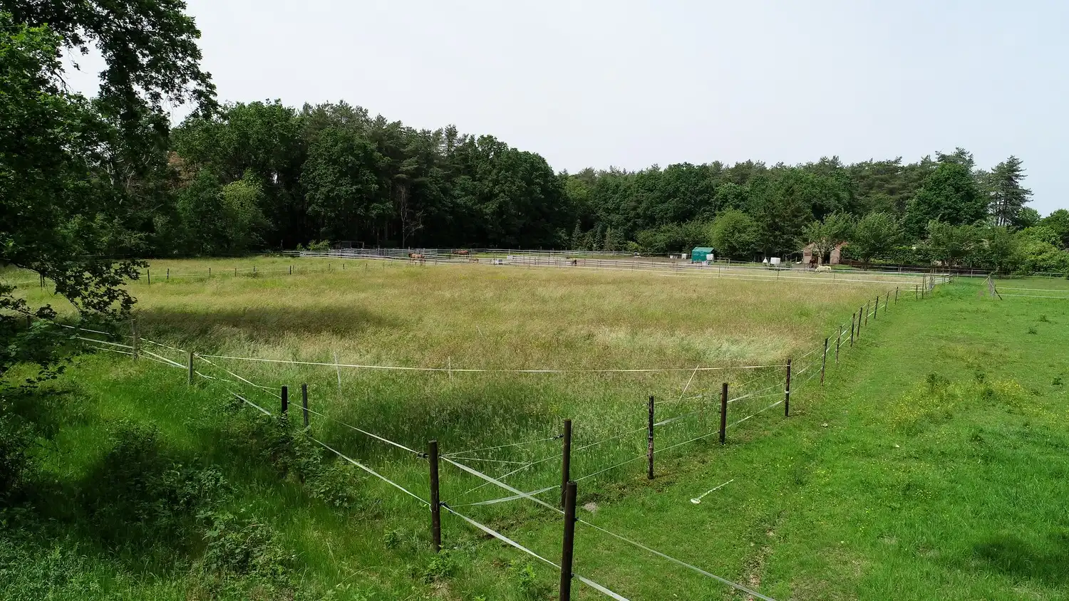 Volledig gelijkvloerse alleenstaande woning op een ruim perceel van 16a 83ca foto 22