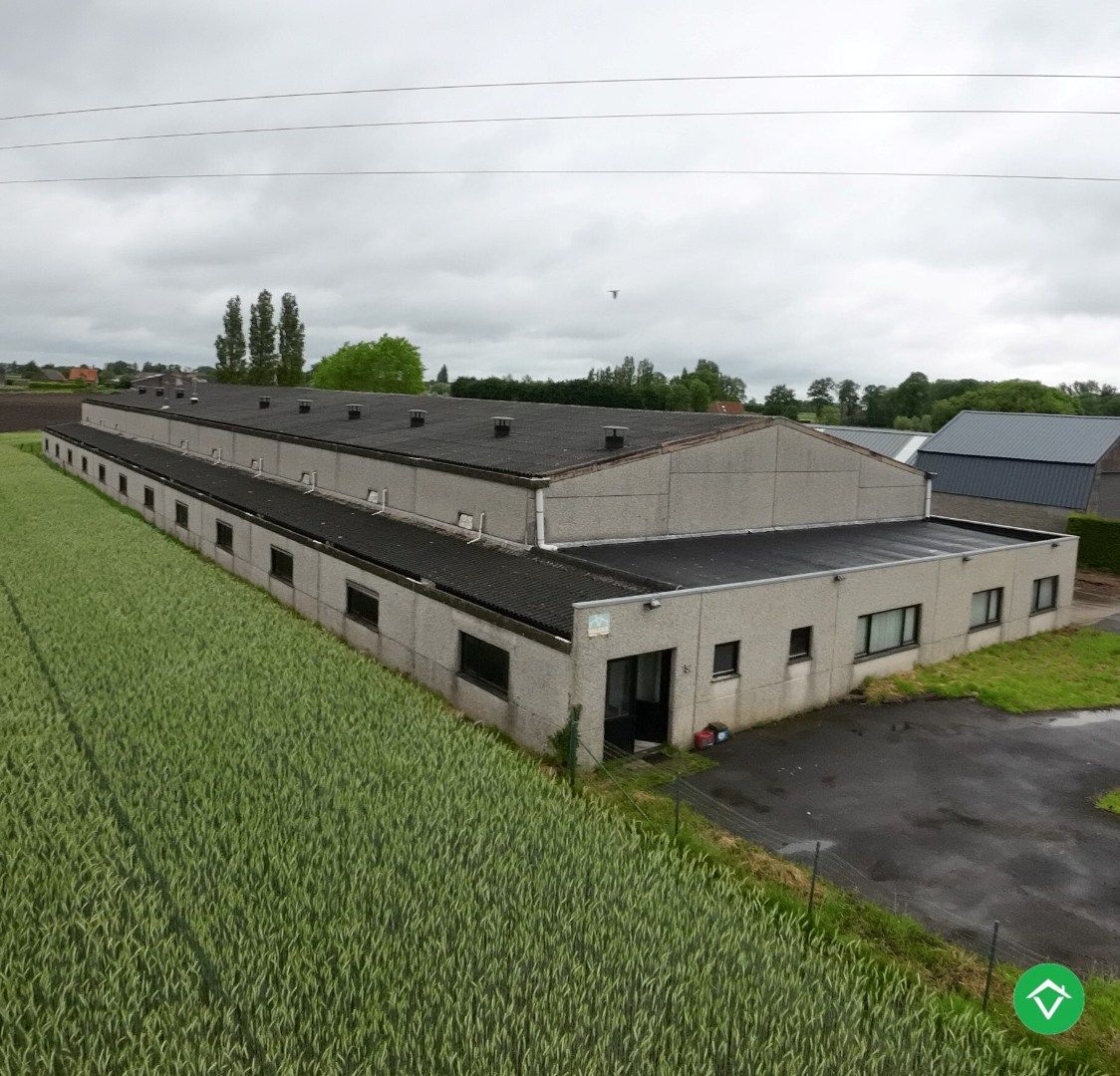 Opslagruimte te huur te Vladslo  foto 8
