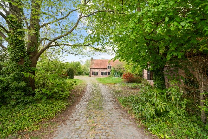 Woning type Open Bebouwing op ongeveer 10500m² grondopp!! foto 2