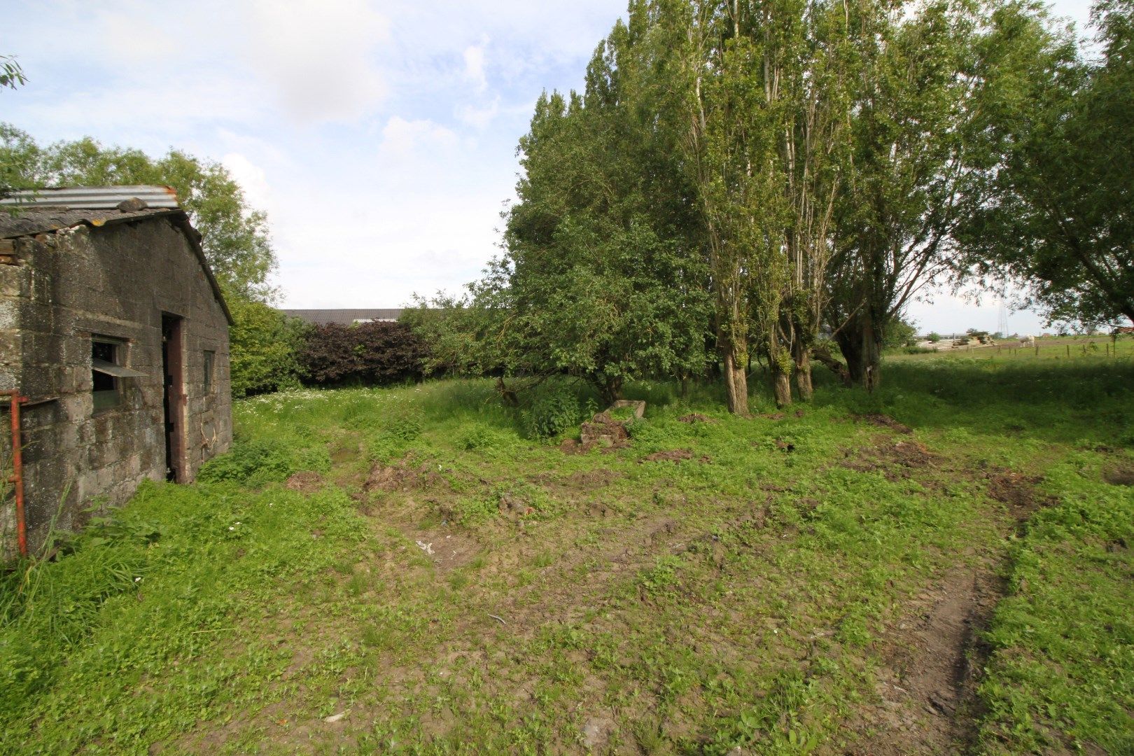 Landelijk gelegen te renoveren eigendom op 4482m² foto 5