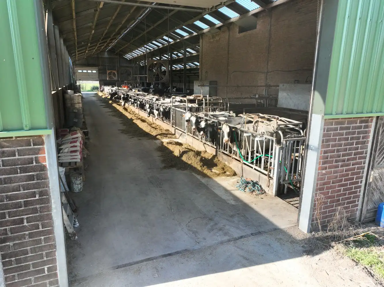 Melkveebedrijf en optionele landbouwgrond in Geel foto 5