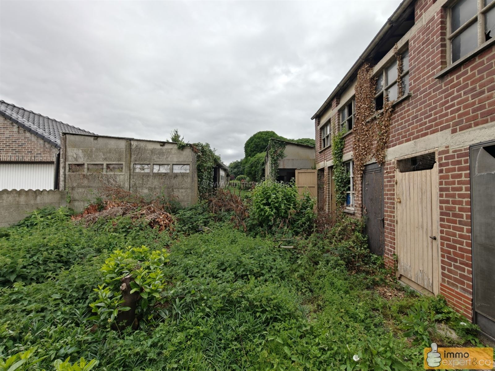 TERNAT: Renovatieproject foto 7