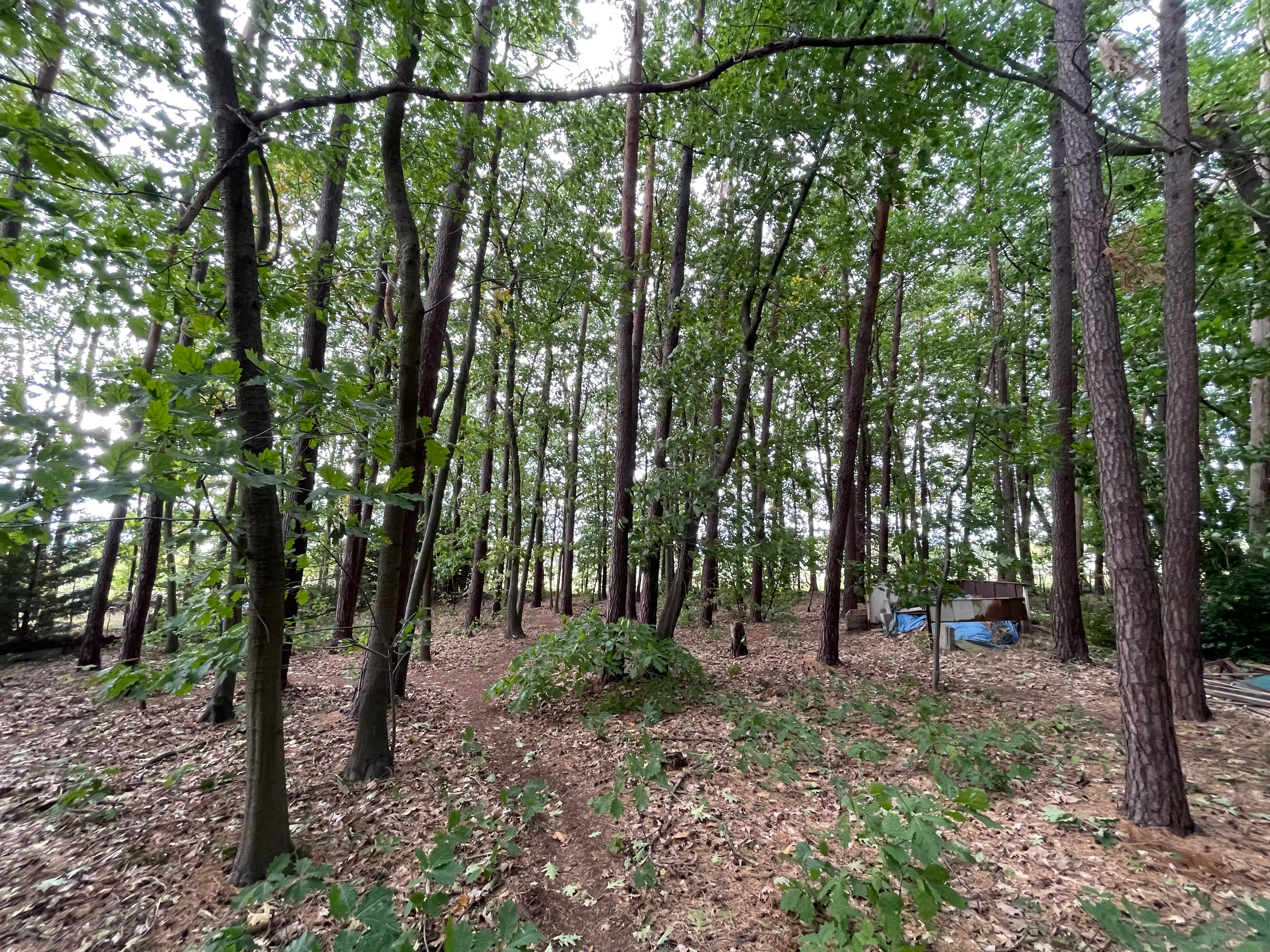 Idyllische plek 3530m² foto 26