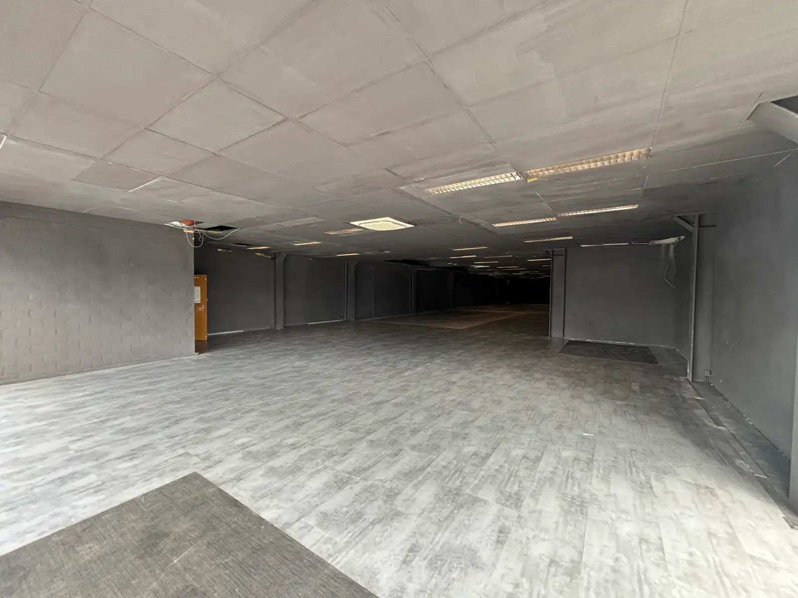 Handelspand (495  m²) op AAA-locatie op de A12 - Aartselaar foto 2