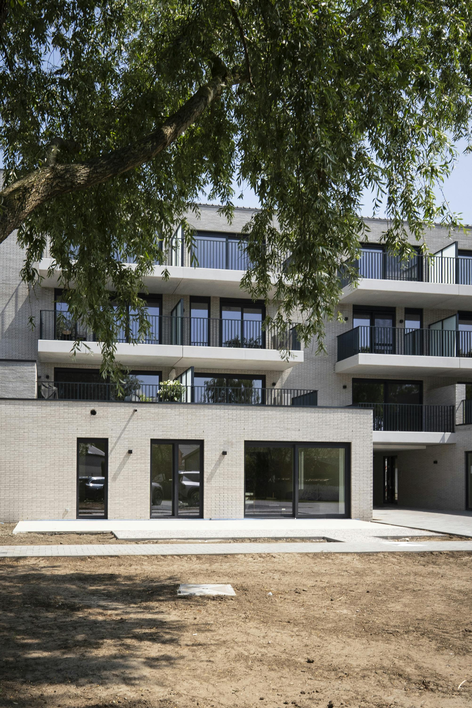 Albert & Jerome te koop in Desselgem foto 20