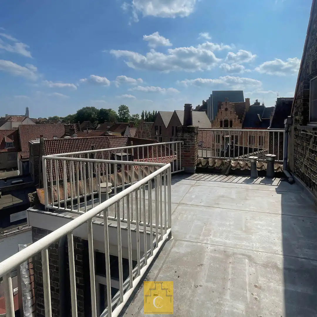 Eclectisch Burgershuis uit het begin van de 20e eeuw — een beschermd monument met karakter en uitstraling. foto 24