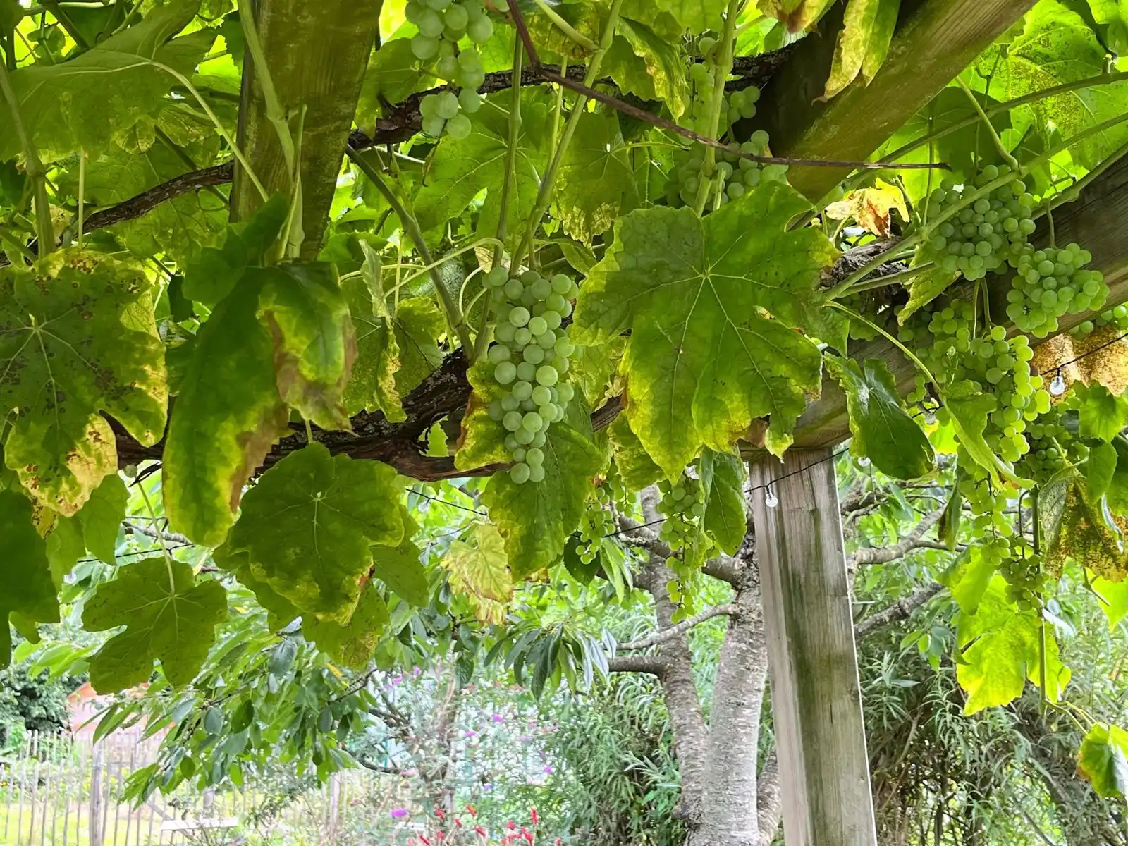 Unieke HOB met 3 slaapkamers op 4a 63ca! foto 22