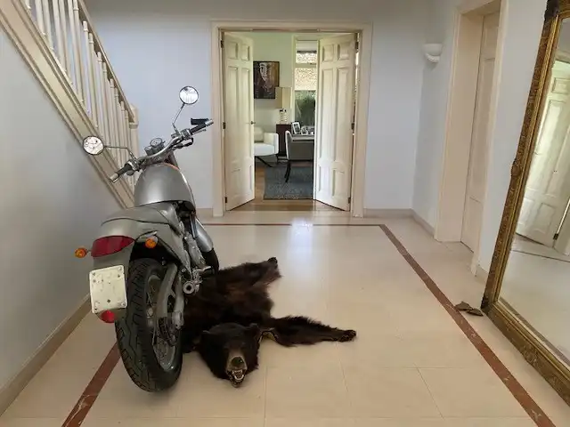 Interbellum villa in Bree centrum foto 17