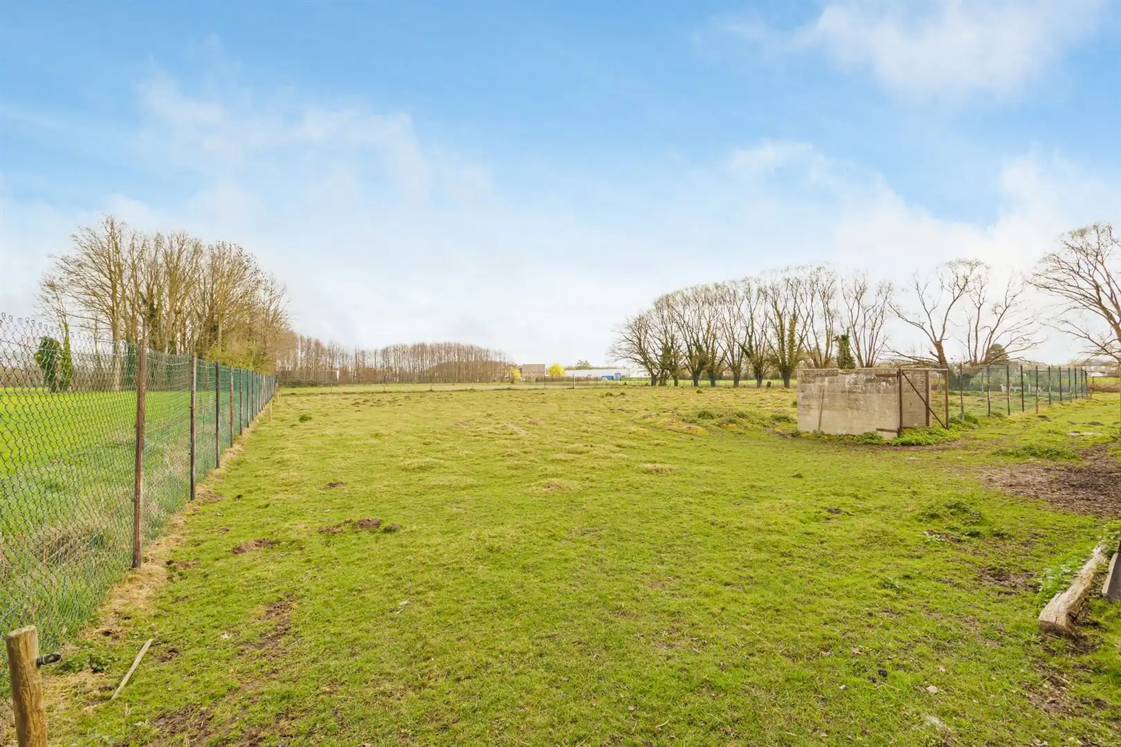 Woning, weiland en vergund bijgebouw te Booischot! foto 29